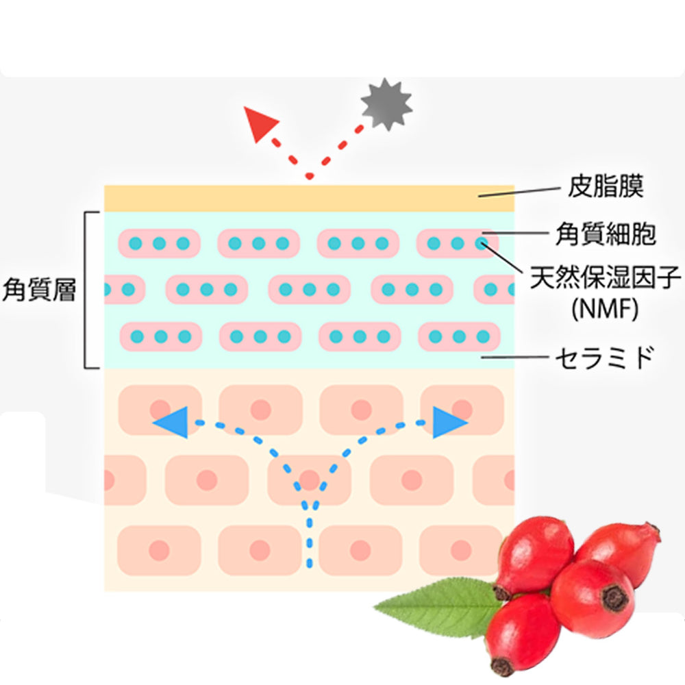細胞学研究から生まれた完全無添加化粧品【Tocco】